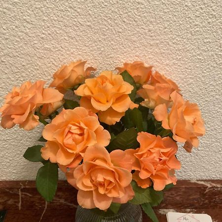 Ma Maison マルセイヤン エクステリア 写真